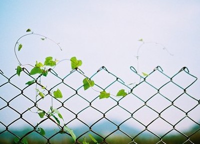 ΨͼƬ˵˵7
