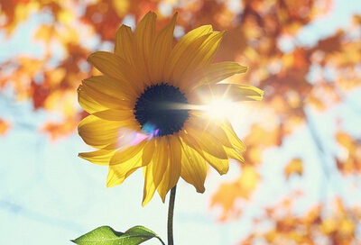 ǿ˵˵ͼƬûɡĺӣŬܣ