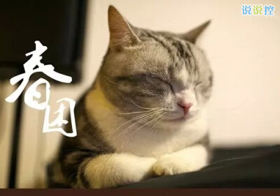 ˵˵ȫͼƬ4