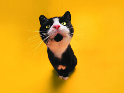 Ц˵˵ȫԿΪĿĵĻص㶼ˣå