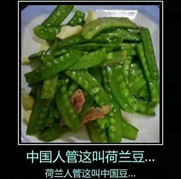 QQ˵˵ͼƬ4