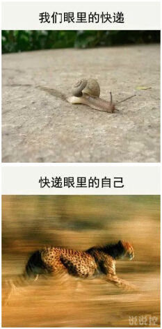 ˵˵ȫͼƬ5