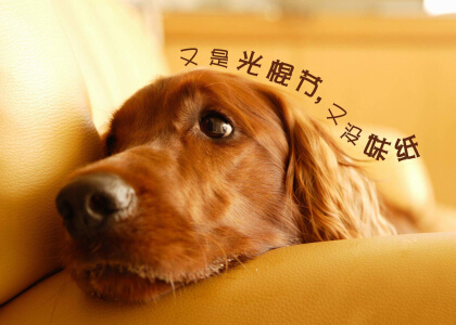 ˵˵ͼƬͼƬ˵˵ȫ