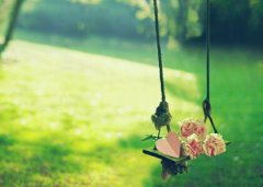 2016˵˵ֻǶ࿴һۣȴһӰ