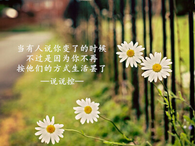 QQ˵˵ͼƬ6