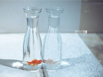 心情说说很现实 心情说说很现实